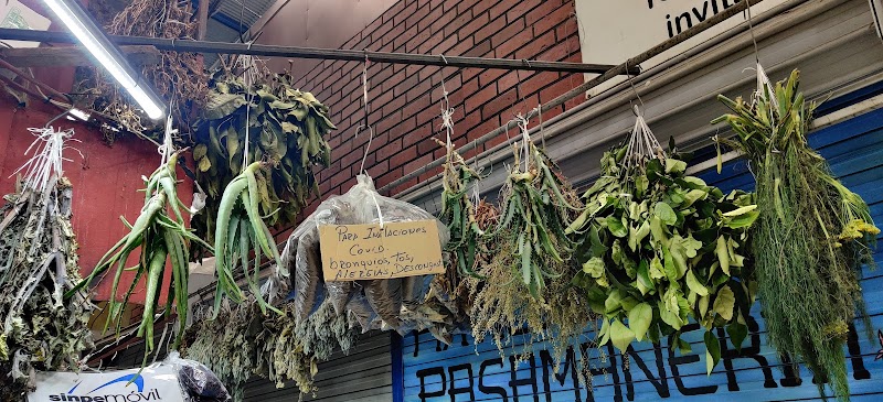 San José Central Market