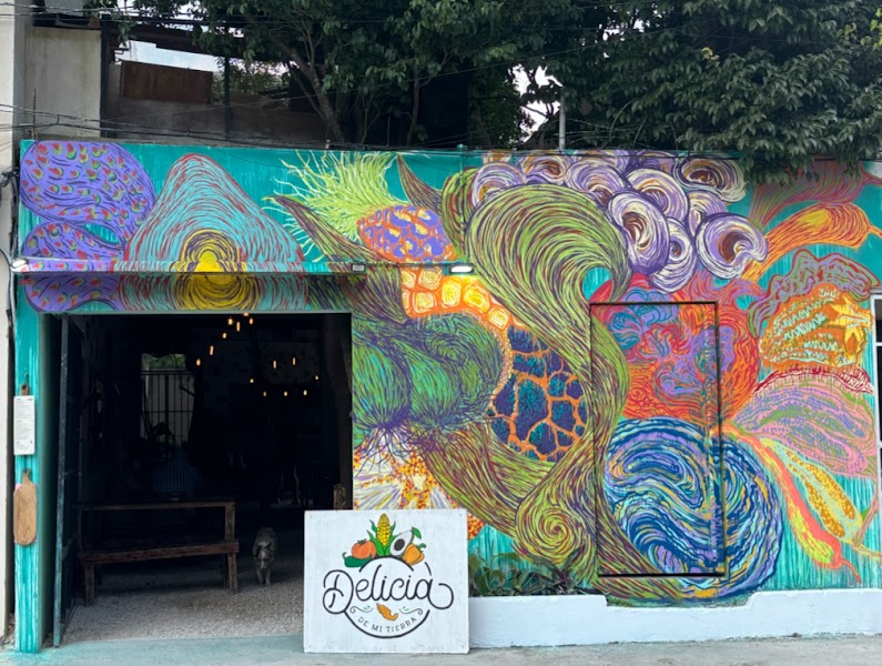 DELICIA DE MI TIERRA TULUM