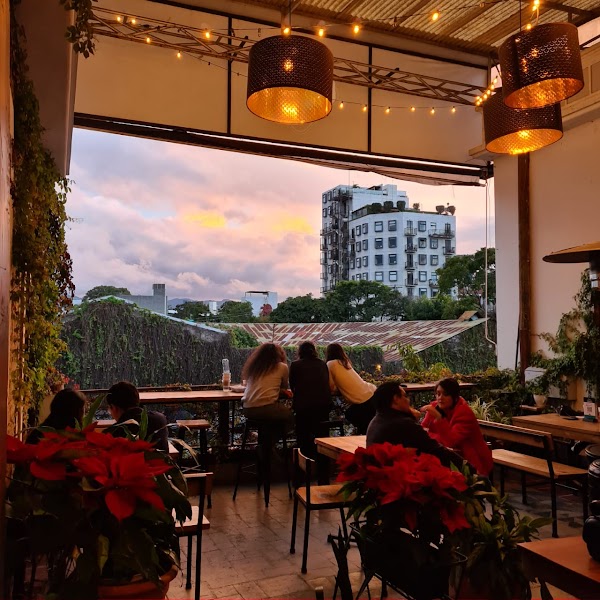 Coffee District - 4 Grados Norte